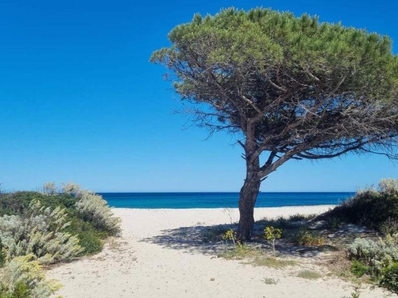 Vila Il Casale Budoni Exteriér fotografie